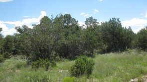 Sundance Mountain Ranches - 36 Jesse James Rd