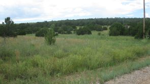 Sundance Mountain Ranches - Lot 4