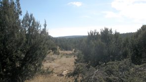 Sundance Mountain Ranches - Lot 239 - 123 Sundance Kid