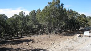Sundance Mountain Ranches - 24 Cole Younger Rd