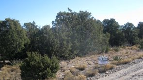 Sundance Mountain Ranches - 43 Jesse James Rd