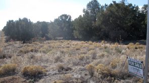 Sundance Mountain Ranches - 36 Jesse James Rd