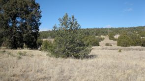 Sundance Mountain Ranches - 5 Butch Cassidy