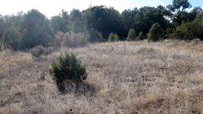 Sundance Mountain Ranches - 7 William Bonney